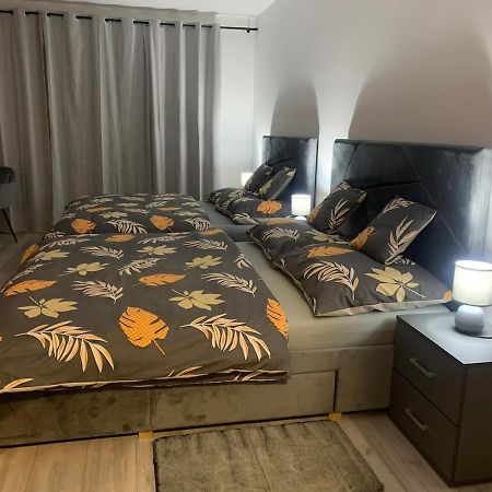 1-Room Apartment Center רייקה טפליצה מראה חיצוני תמונה